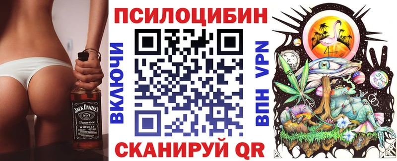 Галлюциногенные грибы GOLDEN TEACHER  Купить  Знаменск 